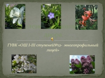 Презентация Проект Озеленение школьного двора