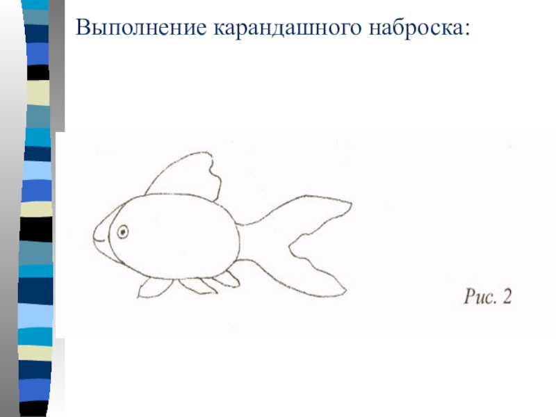 Память как у рыбки впр 4 класс. Рисование с натуры рыбы для 1 класса. Карандашные Наброски рыб. Память рыбки. Рисунок выполненные в любом жанре и технике на бумаге.