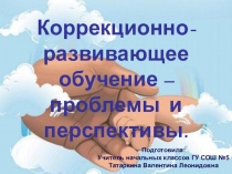 Коррекционно-развивающее обучение – проблемы и перспективы.