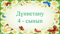 Презентация по казахскый языку на тему Шалғын өсімдіктері мен жануарлары (4 класс)