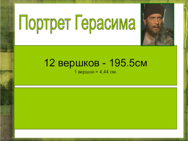 Двенадцать вершков роста это сколько. 12 Вершков роста. Герасим рост 12 Вершков. Двенадцать Вершков в см. 12 Вершков роста Муму.