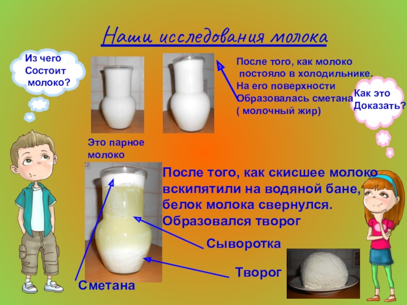 Исследовательский проект про молоко