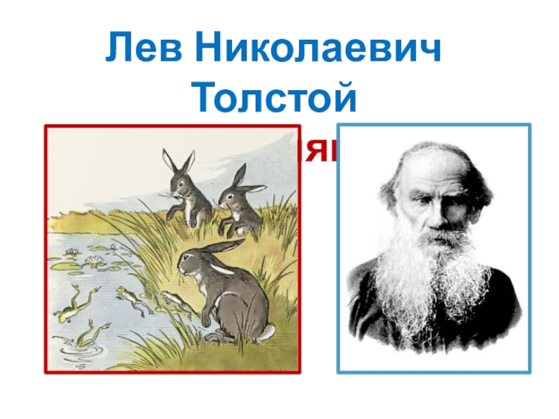 Толстой зайцы читать. Лев Николаевич толстой зайцы. Лев Николаевич толстой произведение зайцы. Рассказ зайцы Лев толстой. Рассказ л н Толстого зайцы.