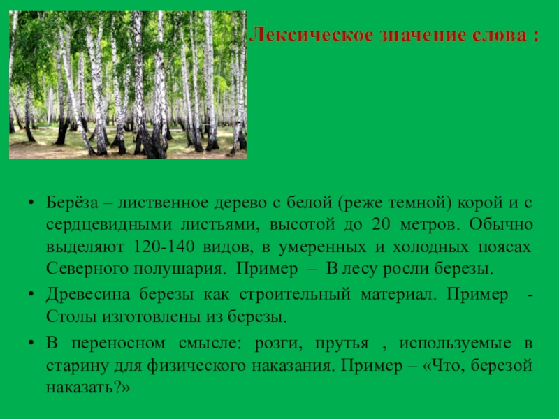 Рассказ Про Березу В Публицистическом Стиле