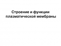 Презентация по биологии для 10 класса Строение и функции плазматической мембраны.