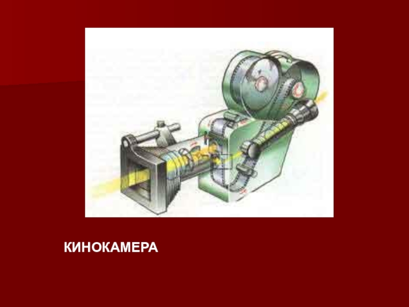 Их оружие кинокамера презентация