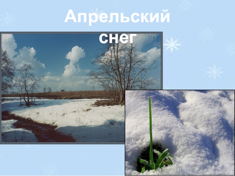 Снег бывает. Какой бывает снег. Какой бывает снег зимой. Каким бывает снег Иванов. Иллюстрации к рассказу каким бывает снег.