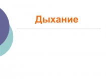 Презентация по возрастной анатомии, физиологии и гигиене на тему