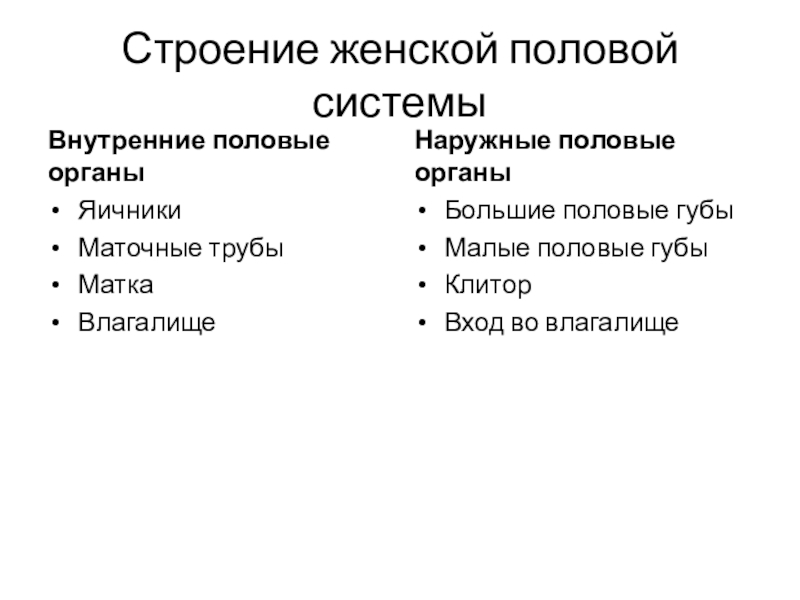 Структура женской половой системы