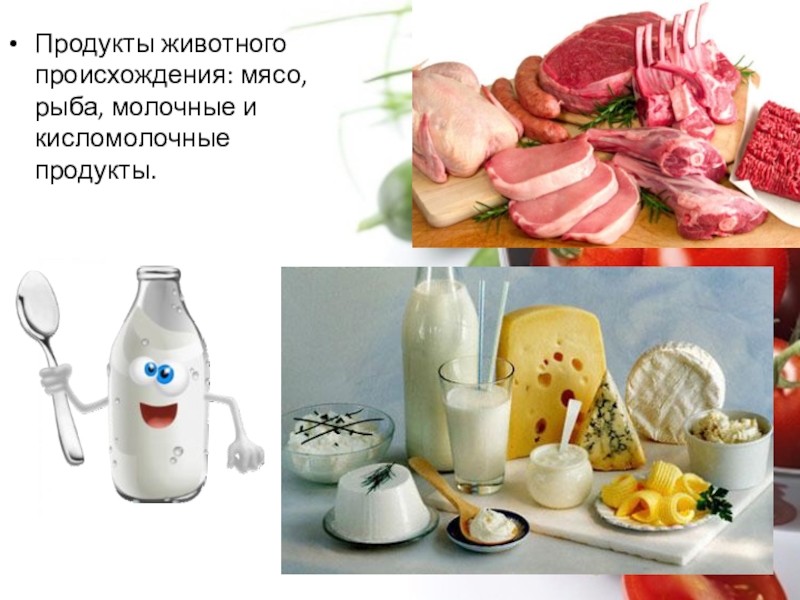 Ценность молока и мяса. Пища животного происхождения. Все продукты животного происхождения. Перечислите продукты животного происхождения. Продукты из животного происхождение.