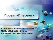 Детский проект Выращивание плесени