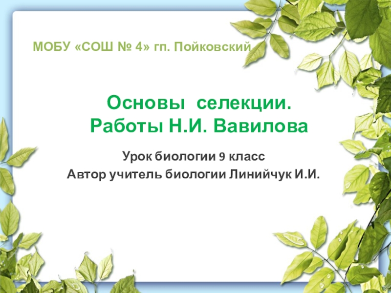 Презентация Презентация по биологии Основы селекции. Работы Н.И. Вавилова (9 класс)