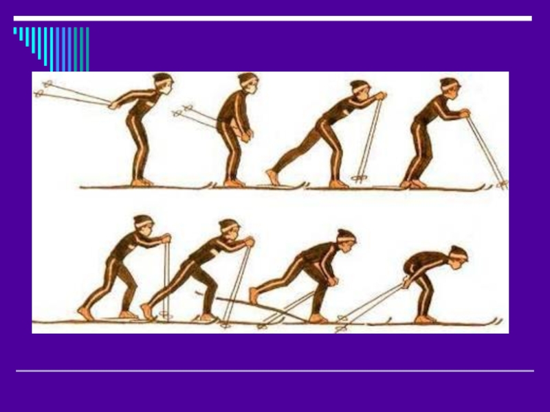 Одновременный двухшажный ход. Попеременный двухшажный лыжный ход. Одновременный бесшажный ход и попеременный двухшажный ход. Поперечный двухшажный ход на лыжах. Попеременный бесшажный ход на лыжах.