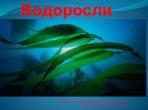 Презентация по биологии на тему Водоросли( 5 класс)