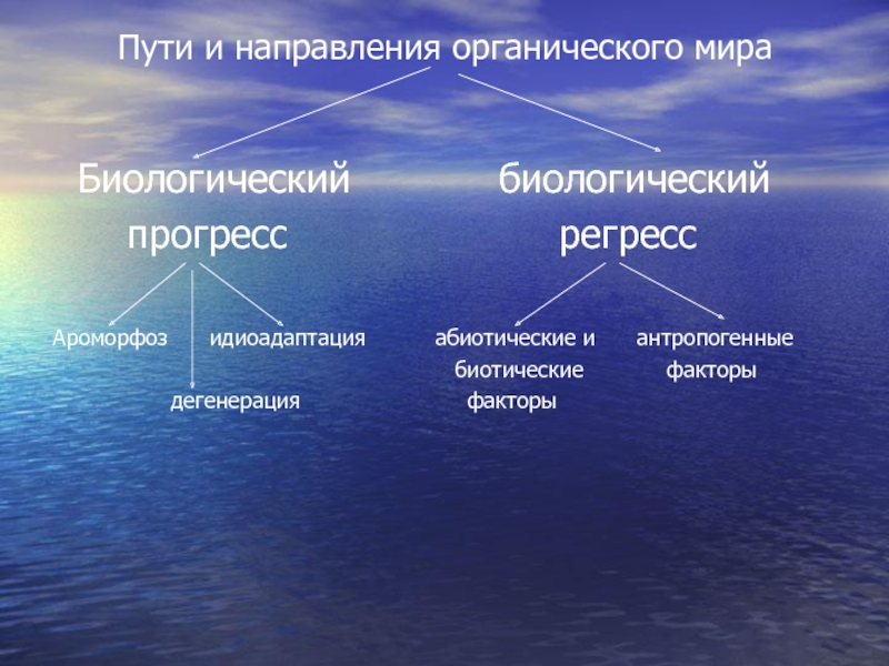 Биологический путь. Пути макроэволюции органического мира. Ароморфоз идиоадаптация дегенерация. Направления и пути макроэволюции. Направления макроэволюции биологический Прогресс.