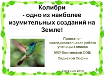 Исследовательская работа Колибри - одно из наиболее изумительных созданий на Земле!