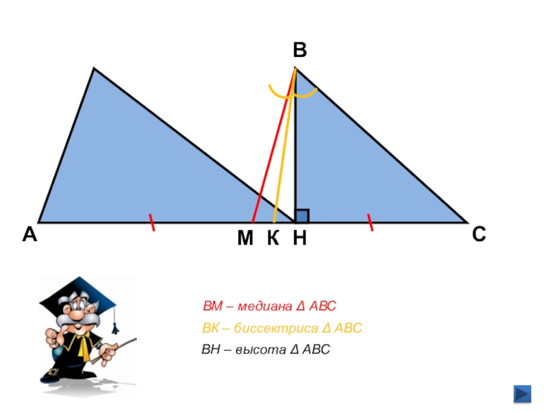 Медиан ростов. Линии в треугольнике Медиана биссектриса высота. Биссектриса и площадь треугольника. Медиана гипотенуза биссектриса. Проекция Медианы.
