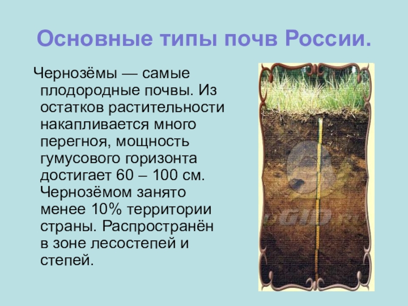 В какой природной зоне самые плодородные земли. Почвы, почвы России : типы , черноземы. Типы черноземных почв. Сероземы самые плодородные почвы. Тип почвы чернозем.