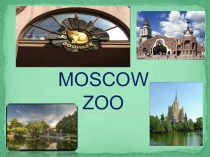Презентация к уроку английского языка в 6 классе на тему Московский зоопарк