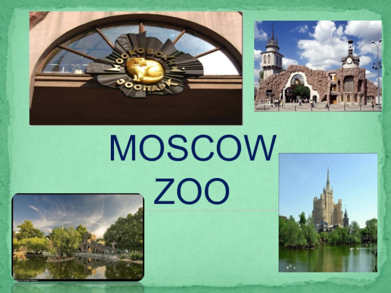 Презентация Презентация к уроку английского языка в 6 классе на тему Московский зоопарк