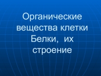 Белок