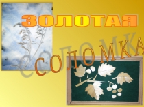 Презентация к мастер-классу Кленовый лист