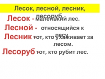 Презентация к уроку русского языка в 1 классе на тему Знакомство с родственными словами