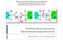 Органические вещества клетки