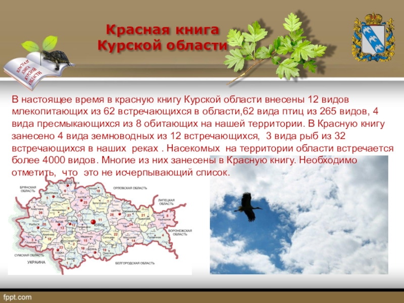 Проект курск 2 класс окружающий мир