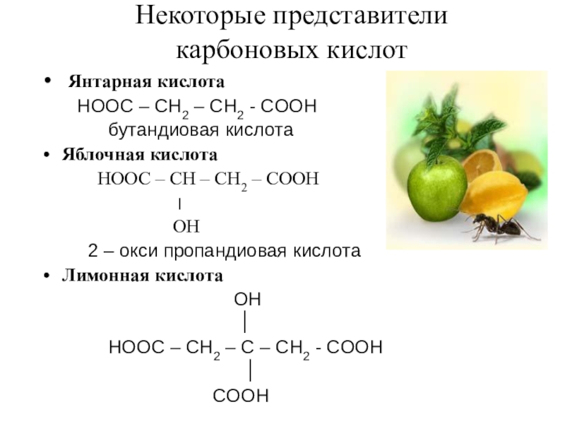 Презентация представители карбоновых кислот