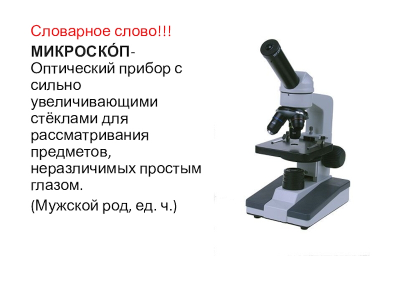 Что такое микроскоп презентация