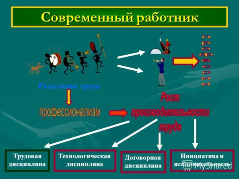 Презентация по дисциплине