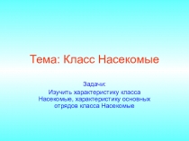 Презентация по теме: Насекомые