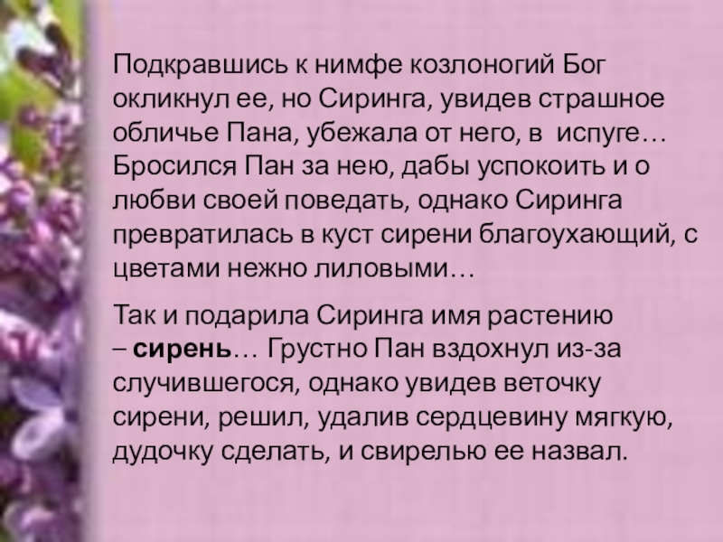 Сочинение сирень егорнов 5 класс. Сочинение по теме сирень. Описание сирени сочинение. Описание сирени 5 класс. Б. Кустодиева 