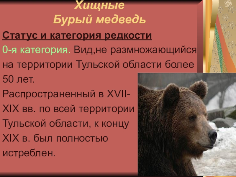 Какой медведь в красной книге