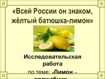 Презентация проектной работы по теме Мой друг лимон