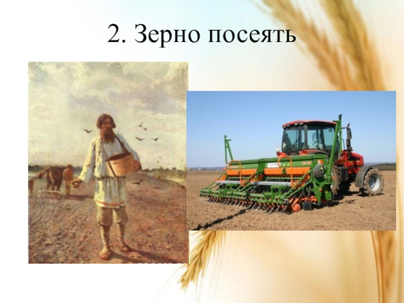 Доски пилят пилой зерно сеют сеялкой. Сеют пшеницу. Сеять зерно. Сеет 2 зернышка. Посеять зерно сомнения.