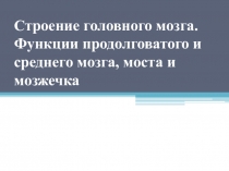 Презентация по биологии на тему Строение головного мозга. Функции продолговатого и среднего мозга, моста и мозжечка (8 класс)