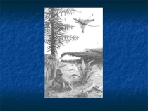 Презентация по биологии на тему Папоротниковидные.