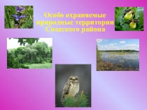 Презентация по окружающему миру Особо охраняемые природные территории начальные классы