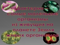 Презентация по теме Бактерии для урока окружающего мира в 3-ем классе