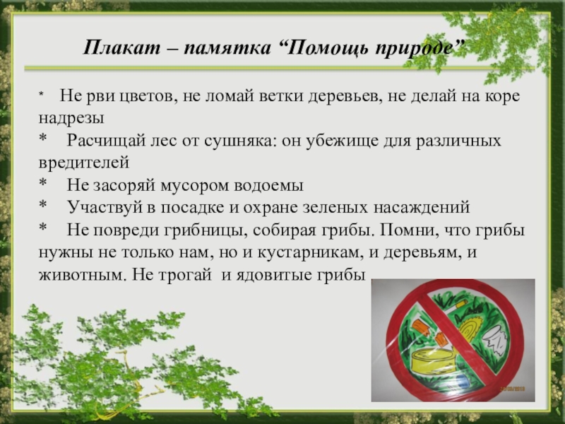 Помощь природе текст. Как помочь природе. Памятка помощь природе. Не засоряйте природу. Помощь природе проект.