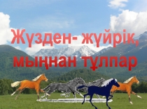 Жүзден жүйрік мыңнан тұлпар Сыныптан тыс шара презентациясы