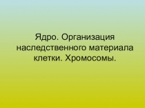 Ядро. Организация наследственного материала клетки. Хромосомы (презентация)