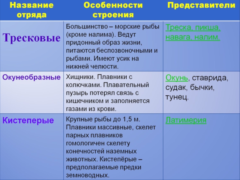 В особенности значение. Особенности трескообразных рыб. Особенности отряда тресковые. Тресковые особенности строения. Особенности строения тресковых рыб.