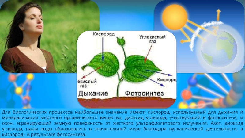 Для образования органических веществ растениям необходима энергия. Фотосинтез кислород. Реакция фотосинтеза. Опыт фотосинтез. Дыхание и минерализация мертвого органического вещества.