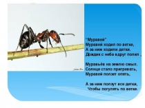 Презентация по литературному чтению В. Бианки  Приключения муравьишки