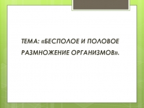 Презентация по биологии Бесполое и половое размножение.