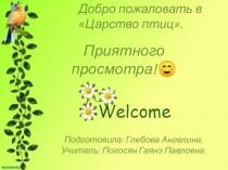 Презентация по биологии на тему Царство птиц