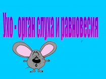Презентация по биологии на темуОрган слуха (8 класс)